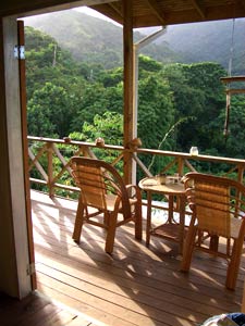 Spectacular Rainforest Views - click to enlarge